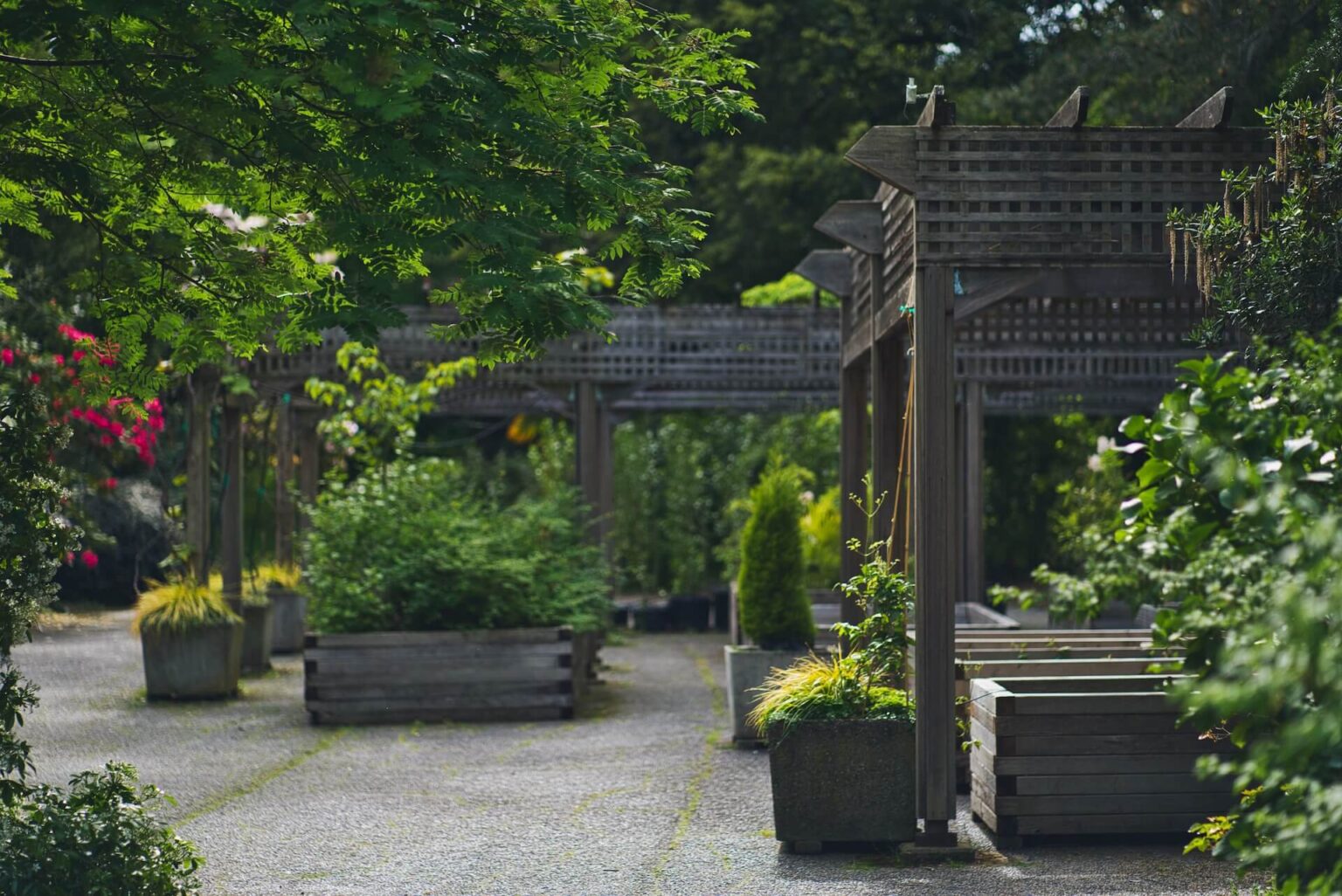 An image of an outdoor patio with plants and other greenery for the blog "How to Decorate an Outdoor Patio?"