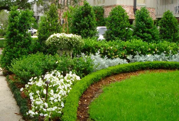 New Orleans Landscape Design
